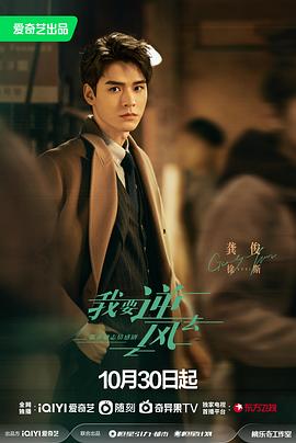 seo是网站关键词优化